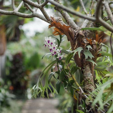 Green Taman Ubud By Prasi Hotel Exterior photo