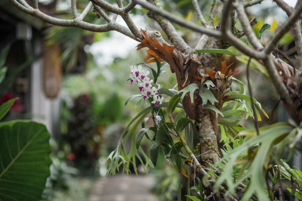 Green Taman Ubud By Prasi Hotel Exterior photo